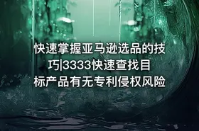 快速掌握亚马逊选品的技巧|3333快速查找目标产品有无专利侵权风险 - getfromcode