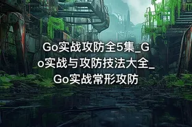 Go实战攻防全5集_Go实战与攻防技法大全_Go实战常形攻防