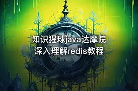 知识猩球java达摩院深入理解redis教程