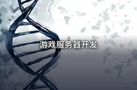 游戏服务器开发