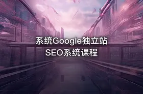 系统Google独立站SEO系统课程