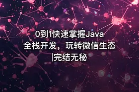0到1快速掌握Java全栈开发，玩转微信生态|完结无秘