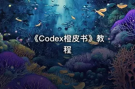 《Codex橙皮书》教程