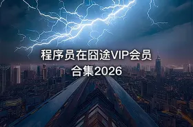 程序员在囧途VIP会员合集2026 - getfromcode