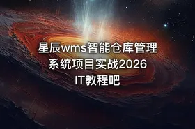 星辰wms智能仓库管理系统项目实战2026 IT教程吧