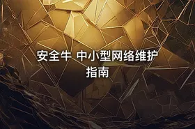 安全牛 中小型网络维护指南