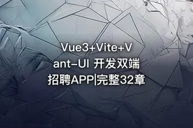 Vue3+Vite+Vant-UI 开发双端招聘APP|完整32章