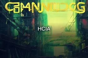 HCIA - getfromcode