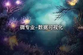 微专业-数据可视化 - getfromcode
