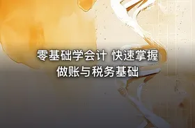 零基础学会计 快速掌握做账与税务基础 - getfromcode