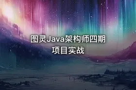图灵Java架构师四期项目实战