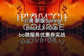 小滴 新版SpringBoot2.X+Dubbo微服务优惠券实战