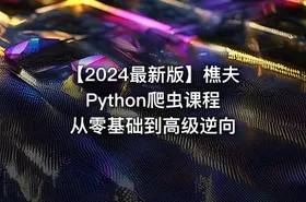 【2024最新版】樵夫Python爬虫课程 从零基础到高级逆向