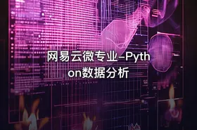 网易云微专业-Python数据分析