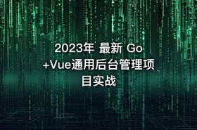 2023年 最新 Go+Vue通用后台管理项目实战