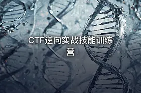 CTF逆向实战技能训练营