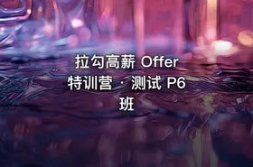 拉勾高薪 Offer 特训营 · 测试 P6 班