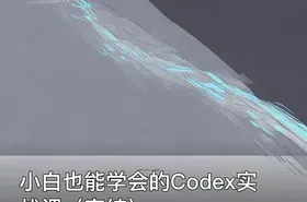 小白也能学会的Codex实战课（完结）