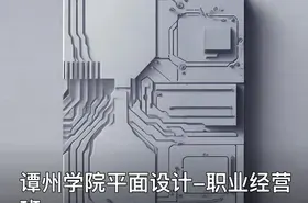 谭州学院平面设计-职业经营班
