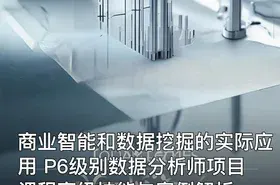 商业智能和数据挖掘的实际应用 P6级别数据分析师项目课程高级技能与案例解析