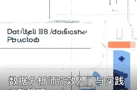 数据分析师高效入门与实践 IT教程吧