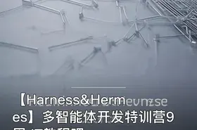 【Harness&Hermes】多智能体开发特训营9周 IT教程吧