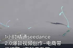 1小时精通seedance2.0爆款视频创作-电商带货江哥ai实验室教程