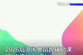 2026后浪闲鱼陪跑辅助课程()
