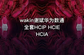 wakin谢斌华为数通全套HCIP HCIE HCIA - getfromcode