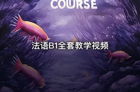 法语B1全套教学视频