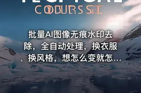 批量AI图像无痕水印去除，全自动处理，换衣服、换风格，想怎么变就怎么变（软件+视频教程）