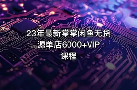 23年最新棠棠闲鱼无货源单店6000+VIP课程