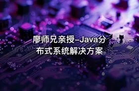 廖师兄亲授-Java分布式系统解决方案 - getfromcode