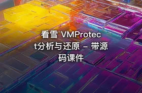 看雪 VMProtect分析与还原 - 带源码课件