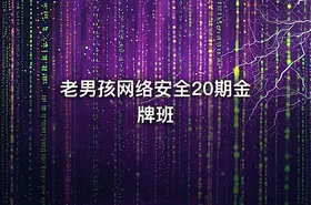 老男孩网络安全20期金牌班