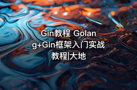 Gin教程 Golang+Gin框架入门实战教程|大地