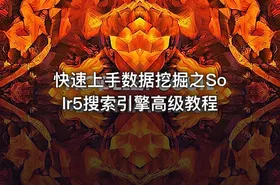 快速上手数据挖掘之Solr5搜索引擎高级教程