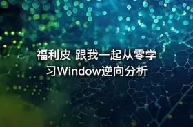 福利皮 跟我一起从零学习Window逆向分析 - getfromcode