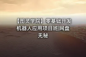 【图灵学院】零基础开发机器人应用项目班|网盘无秘