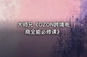 大师兄《OZON跨境电商全能必修课》 - getfromcode