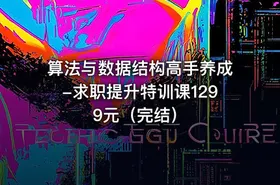 算法与数据结构高手养成-求职提升特训课1299元（完结）