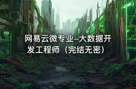 网易云微专业-大数据开发工程师（完结无密）