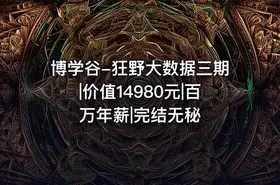 博学谷-狂野大数据三期|价值14980元|百万年薪|完结无秘