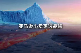 亚马逊小卖家选品课