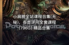 小肩膀全站课程合集(无秘)，各类逆向全套课程(796G) 精品合集