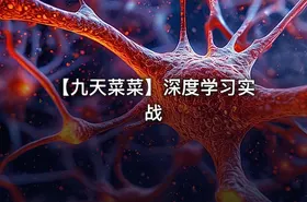 【九天菜菜】深度学习实战