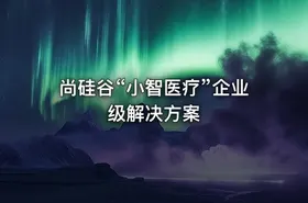 尚硅谷“小智医疗”企业级解决方案