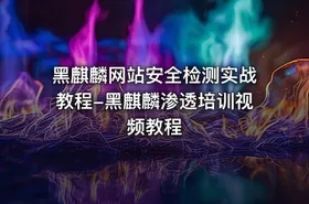 黑麒麟网站安全检测实战教程-黑麒麟渗透培训视频教程