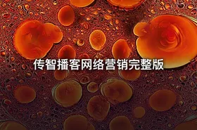 传智播客网络营销完整版