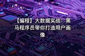【编程】大数据实战：黑马程序员带你打造用户画像 - getfromcode